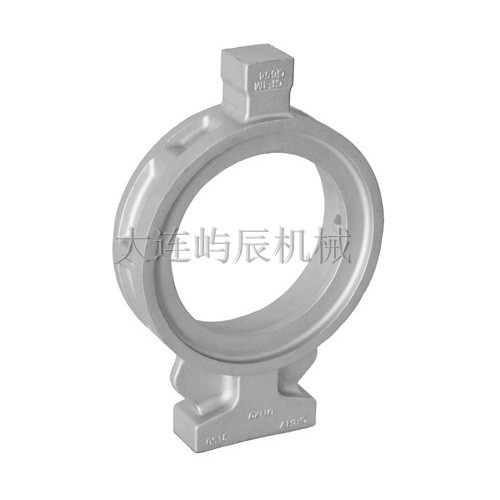 Butterfly valve body（CF3M）